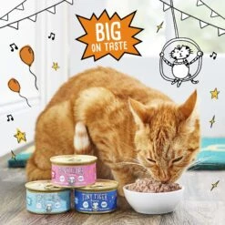 Tiny Tiger Pate Salmon Recipe Grain-Free Canned Cat Food -Meow Meals 141873 PT4. AC SS1800 V1671720947