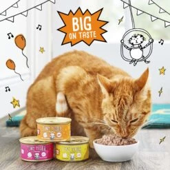 Tiny Tiger Pate Turkey & Giblets Recipe Grain-Free Canned Cat Food -Meow Meals 141881 PT4. AC SS1800 V1687286227