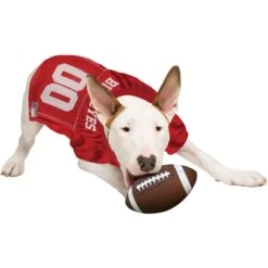 Pets First NCAA Dog & Cat Jersey, Ohio State Buckeyes -Meow Meals 142138 PT4. AC SS1800 V1538435585