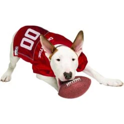 Pets First NCAA Alabama Crimson Tide Dog & Cat Jersey 12 Pets First NCAA Alabama Crimson Tide Dog & Cat Jersey -Meow Meals 142145 PT3. AC SS1800 V1538433128