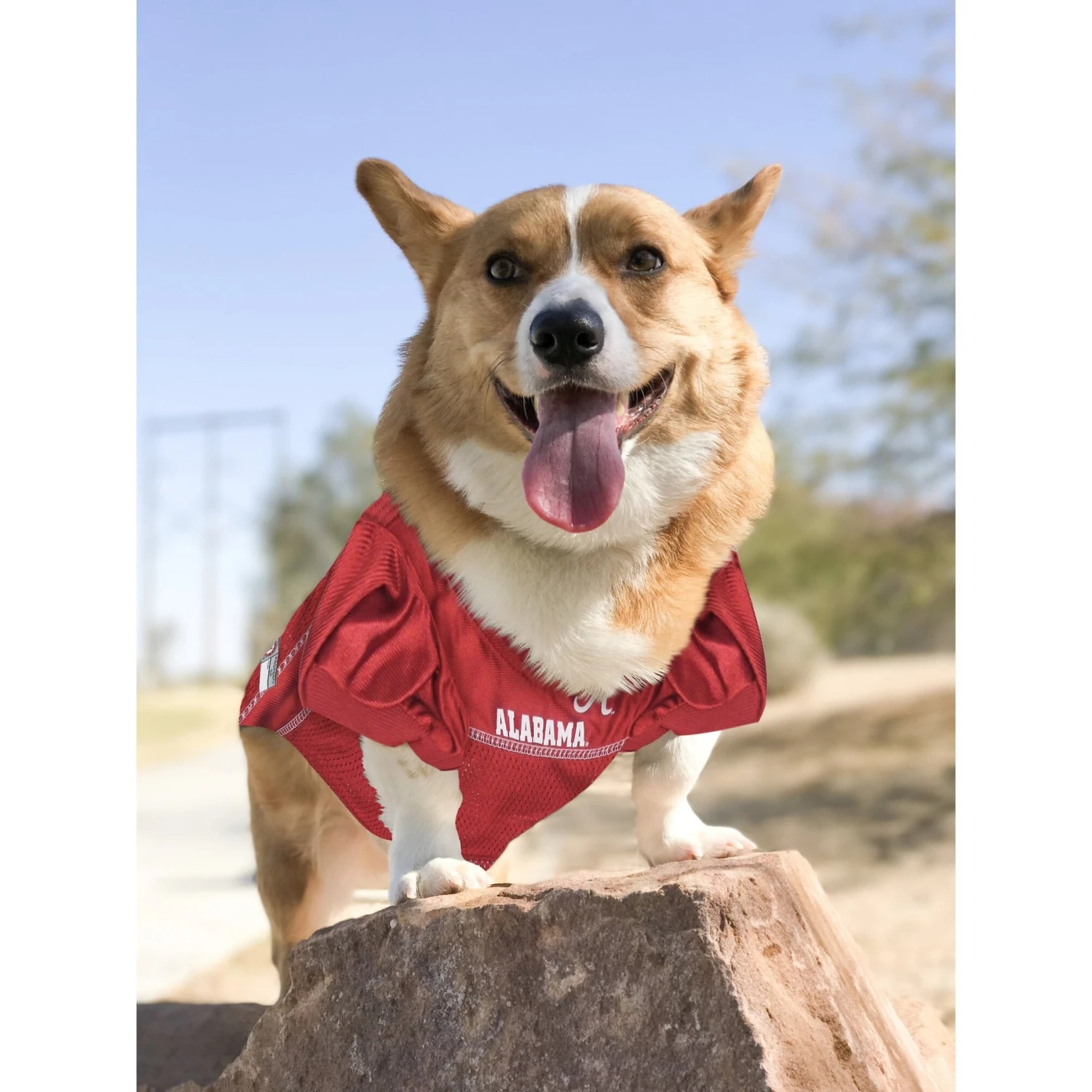 Pets First NCAA Alabama Crimson Tide Dog & Cat Jersey 7 Pets First NCAA Alabama Crimson Tide Dog & Cat Jersey - Image 5