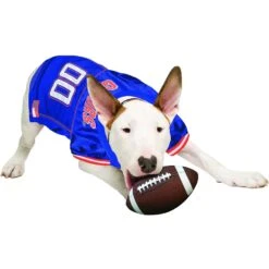 Pets First NCAA Dog & Cat Jersey, Florida Gators -Meow Meals 142159 PT3. AC SS1800 V1538433248