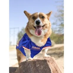 Pets First NCAA Dog & Cat Jersey, Florida Gators -Meow Meals 142159 PT4. AC SS1800 V1538435835