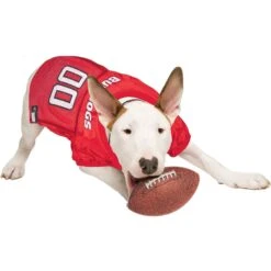 Pets First NCAA Dog & Cat Jersey, Georgia Bulldogs -Meow Meals 142173 PT3. AC SS1800 V1538433417
