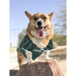 Pets First NCAA Dog & Cat Jersey, Michigan State Spartans -Meow Meals 142181 PT4. AC SS1800 V1538436040