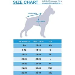 Pets First NBA Dog & Cat Mesh Jersey, Boston Celtics -Meow Meals 142223 PT1. AC SS1800 V1572880425