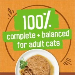 Friskies Extra Gravy Pate With Chicken In Savory Gravy Canned Cat Food -Meow Meals 142579 PT5. AC SS1800 V1699369727