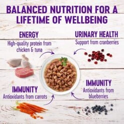 Wellness Healthy Indulgence Gravies Grain-Free Variety Pack Cat Food Pouches -Meow Meals 145533 PT3. AC SS1800 V1621989505