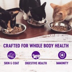 Wellness Healthy Indulgence Morsels Grain-Free Variety Pack Cat Food Pouches -Meow Meals 145537 PT2. AC SS1800 V1621982576