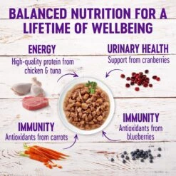 Wellness Healthy Indulgence Morsels Grain-Free Variety Pack Cat Food Pouches -Meow Meals 145537 PT3. AC SS1800 V1621986812