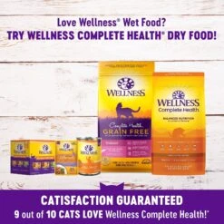 Wellness Healthy Indulgence Morsels Grain-Free Variety Pack Cat Food Pouches -Meow Meals 145537 PT4. AC SS1800 V1621987972
