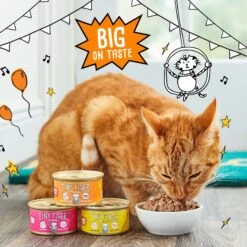 Tiny Tiger Chunks In Gravy Beef Recipe Grain-Free Canned Cat Food 14 Tiny Tiger Chunks In Gravy Beef Recipe Grain-Free Canned Cat Food -Meow Meals 147762 PT4. AC SS1800 V1687286166