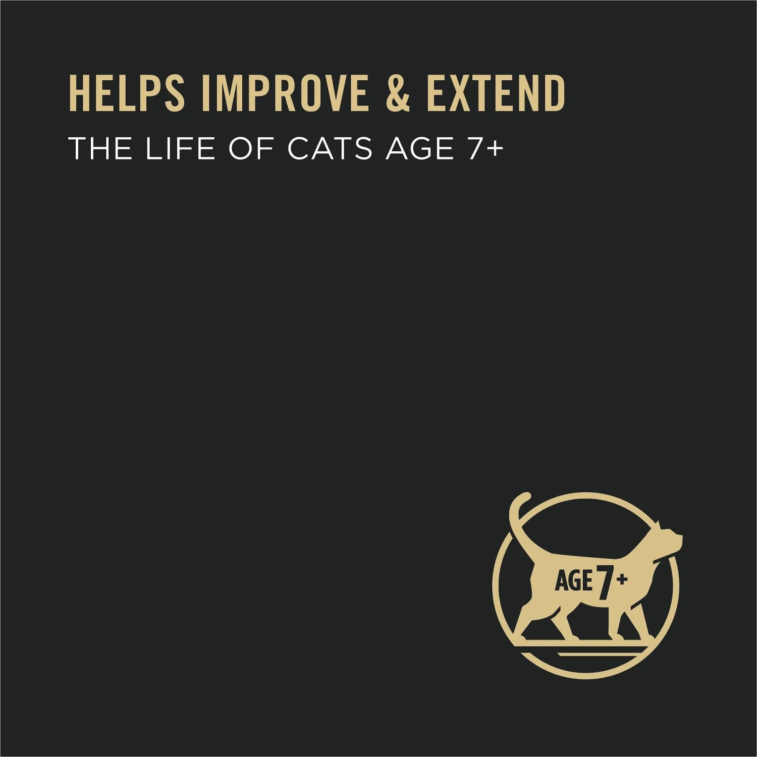 Purina Pro Plan Senior Adult 7+ Seafood Favorites Pate Variety Pack Canned Cat Food 7 Purina Pro Plan Senior Adult 7+ Seafood Favorites Pate Variety Pack Canned Cat Food - Image 5