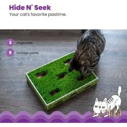 Catstages Grass Patch Hunting Box Cat Scratcher Toy -Meow Meals 148104 PT3. AC SS1800 V1631683023