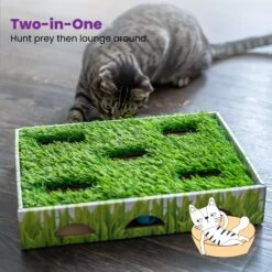 Catstages Grass Patch Hunting Box Cat Scratcher Toy -Meow Meals 148104 PT5. AC SS1800 V1631689013