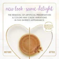 Fancy Feast Kitten Tender Chicken Feast Canned Cat Food 13 Fancy Feast Kitten Tender Chicken Feast Canned Cat Food -Meow Meals 149824 PT2. AC SS1800 V1691418832