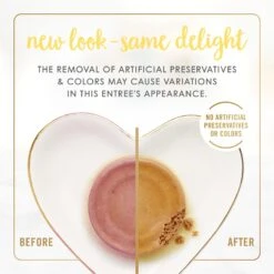 Fancy Feast Kitten Tender Salmon Feast Canned Cat Food -Meow Meals 149827 PT2. AC SS1800 V1691417414