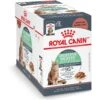 Royal Canin Feline Care Nutrition Digestive Care Adult Chunks In Gravy Pouch Cat Food -Meow Meals 151281 MAIN. AC SS1800 V1697753768