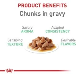 Royal Canin Feline Care Nutrition Digestive Care Adult Chunks In Gravy Pouch Cat Food -Meow Meals 151281 PT2. AC SS1800 V1697736254