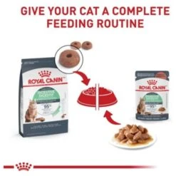 Royal Canin Feline Care Nutrition Digestive Care Adult Chunks In Gravy Pouch Cat Food -Meow Meals 151281 PT5. AC SS1800 V1697761752