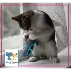 Doc & Phoebe's Cat Co. Indoor Hunting Cat Feeder Kit -Meow Meals 152320 PT5. AC SS1800 V1536607925