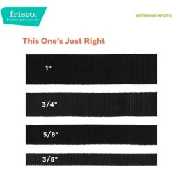 Frisco Pineapple Polyester Breakaway Cat Collar With Bell -Meow Meals 153158 PT6. AC SS1800 V1629992814