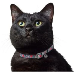 Frisco Rose Polyester Breakaway Cat Collar With Bell 11 Frisco Rose Polyester Breakaway Cat Collar With Bell -Meow Meals 153160 PT3. AC SS1800 V1701796877