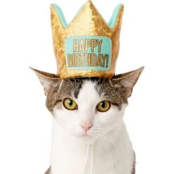 Frisco Happy Birthday Dog & Cat Crown -Meow Meals 153665 PT2. AC SS1800 V1551230979