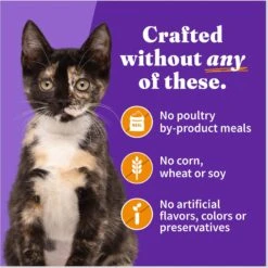 Halo Chicken Recipe With Real Whole Chicken Grain-Free Kitten Wet Food -Meow Meals 153680 PT5. AC SS1800 V1682351624