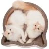 Necoichi Cat Head Scratcher Bed -Meow Meals 154905 MAIN. AC SS1800 V1646413287