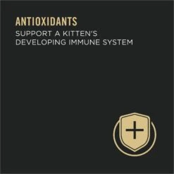 Purina Pro Plan Focus Kitten Favorites Variety Pack Canned Cat Food -Meow Meals 155241 PT5. AC SS1800 V1643839896