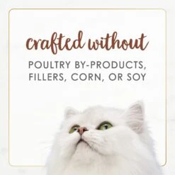 Fancy Feast Gourmet Naturals Beef Recipe In Gravy Canned Cat Food -Meow Meals 155537 PT6. AC SS1800 V1677102859