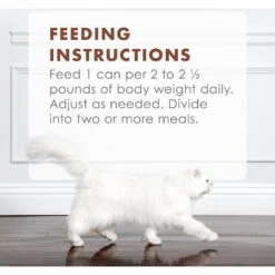 Fancy Feast Gourmet Naturals Beef Recipe In Gravy Canned Cat Food -Meow Meals 155537 PT8. AC SS1800 V1543333962