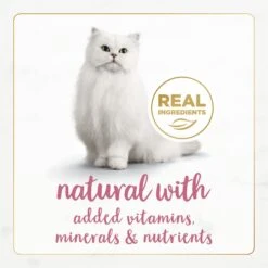 Fancy Feast Gourmet Naturals Wild Alaskan Salmon & Shrimp Recipe In Gravy Canned Cat Food 14 Fancy Feast Gourmet Naturals Wild Alaskan Salmon & Shrimp Recipe In Gravy Canned Cat Food -Meow Meals 155541 PT3. AC SS1800 V1677103476
