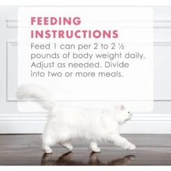 Fancy Feast Gourmet Naturals Wild Alaskan Salmon & Shrimp Recipe In Gravy Canned Cat Food 19 Fancy Feast Gourmet Naturals Wild Alaskan Salmon & Shrimp Recipe In Gravy Canned Cat Food -Meow Meals 155541 PT8. AC SS1800 V1543333922