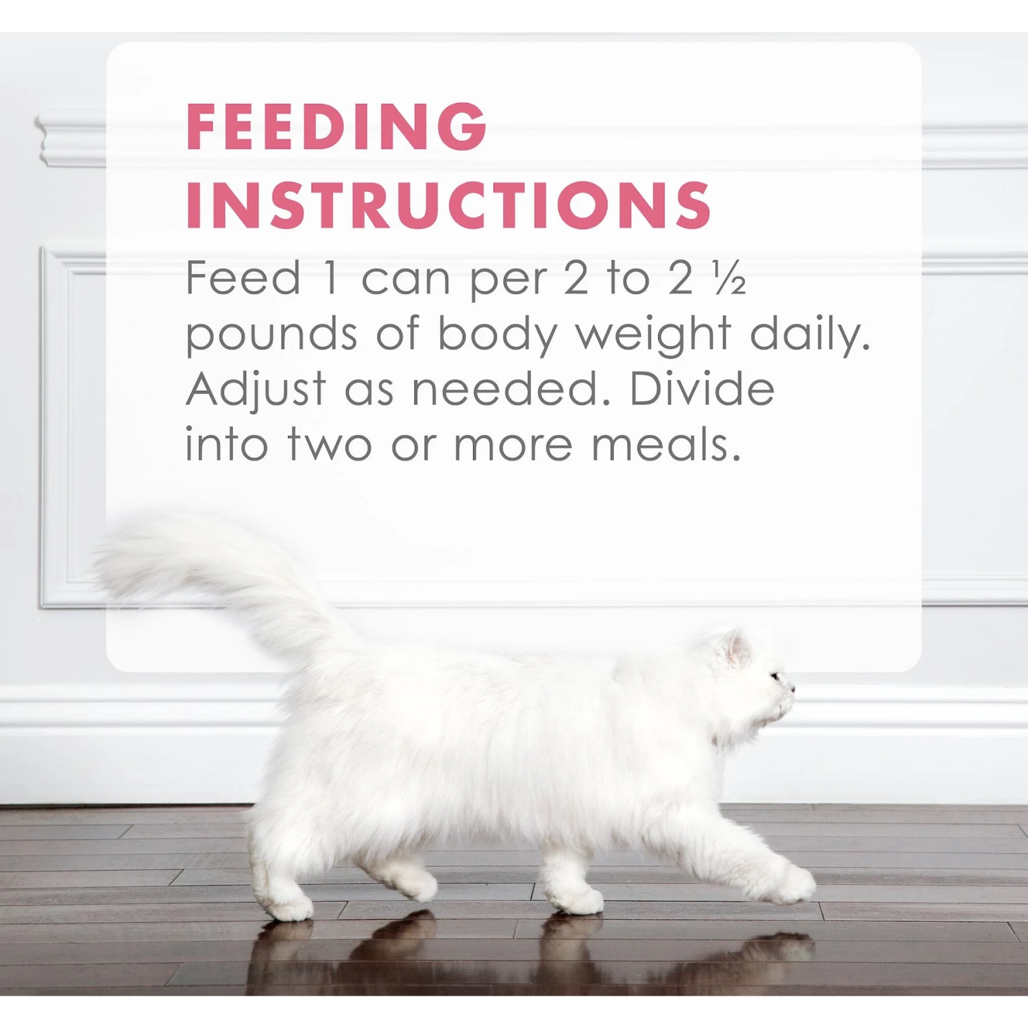 Fancy Feast Gourmet Naturals Wild Alaskan Salmon & Shrimp Recipe In Gravy Canned Cat Food 11 Fancy Feast Gourmet Naturals Wild Alaskan Salmon & Shrimp Recipe In Gravy Canned Cat Food - Image 9