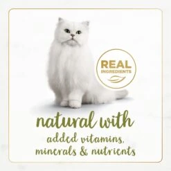 Fancy Feast Gourmet Naturals White Meat Chicken Recipe In Gravy Canned Cat Food -Meow Meals 155543 PT3. AC SS1800 V1677102859