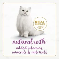 Fancy Feast Gourmet Naturals Beef Recipe Pate Canned Cat Food, 3-oz, Case Of 12 -Meow Meals 155545 PT3. AC SS1800 V1677102858