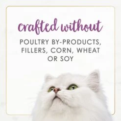 Fancy Feast Gourmet Naturals Beef Recipe Pate Canned Cat Food, 3-oz, Case Of 12 -Meow Meals 155545 PT6. AC SS1800 V1677102857