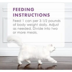 Fancy Feast Gourmet Naturals Beef Recipe Pate Canned Cat Food, 3-oz, Case Of 12 -Meow Meals 155545 PT8. AC SS1800 V1543334182