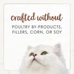 Fancy Feast Gourmet Naturals Poultry & Beef Variety Pack Canned Cat Food -Meow Meals 158492 PT7. AC SS1800 V1677103480