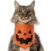 Frisco Jack O' Lantern Pumpkin Dog & Cat Bandana -Meow Meals 158934 MAIN. AC SS1800 V1669148132
