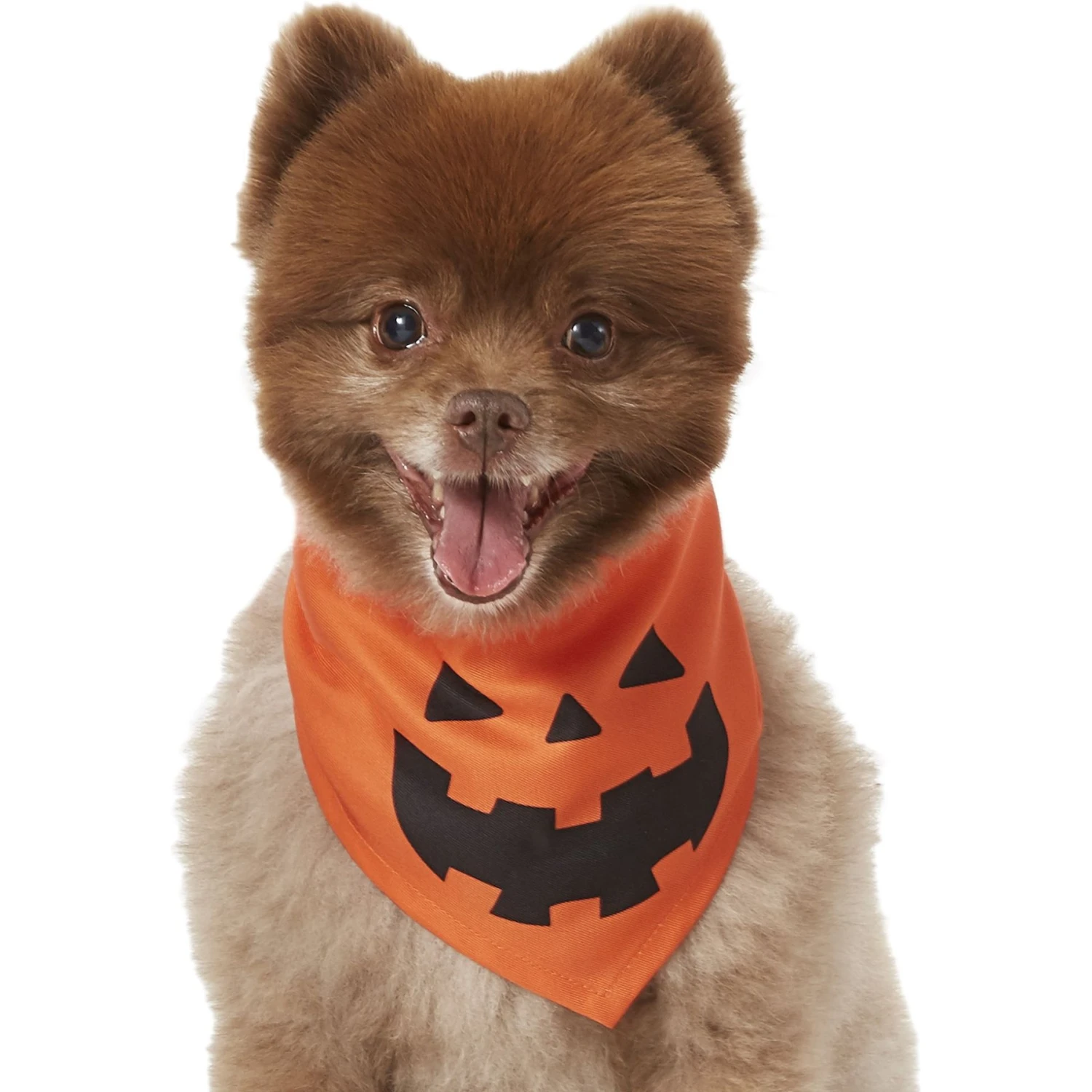 Frisco Jack O' Lantern Pumpkin Dog & Cat Bandana 5 Frisco Jack O' Lantern Pumpkin Dog & Cat Bandana - Image 3
