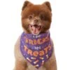 Frisco I Do Tricks For Treats Dog & Cat Bandana 1 Frisco I Do Tricks For Treats Dog & Cat Bandana -Meow Meals 158938 MAIN. AC SS1800 V1633728989