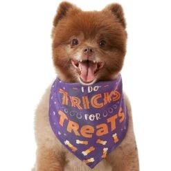 Frisco I Do Tricks For Treats Dog & Cat Bandana 12 Frisco I Do Tricks For Treats Dog & Cat Bandana -Meow Meals 158938 PT3. AC SS1800 V1633075903