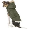 Frisco Mid-Heavyweight Portland Insulated Dog & Cat Parka -Meow Meals 160295 MAIN. AC SS1800 V1566999745