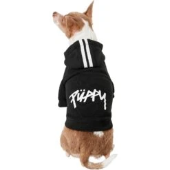 Frisco Püppy Dog Athletic Hoodie -Meow Meals 160342 PT2. AC SS1800 V1637689590