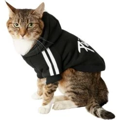 Frisco Püppy Dog Athletic Hoodie -Meow Meals 160342 PT3. AC SS1800 V1637716325