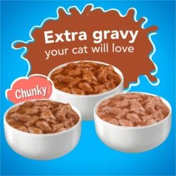 Friskies YUMbelievaBOX YUM-azing Extra Gravy Chunky Variety Pack Canned Cat Food -Meow Meals 163996 PT2. AC SS1800 V1554147426