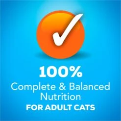 Friskies YUMbelievaBOX YUM-azing Extra Gravy Chunky Variety Pack Canned Cat Food -Meow Meals 163996 PT4. AC SS1800 V1554147424